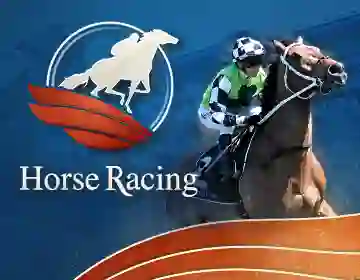 banner horsebook half