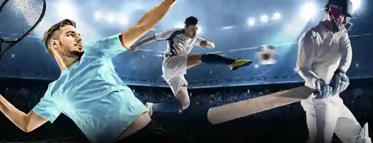 banner sports